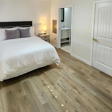 Modern One Bedroom Apartment With Gym